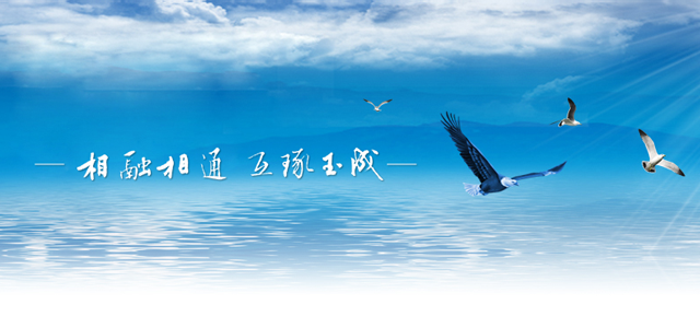东北证券股份有限公司 东北证券股份有限公司
